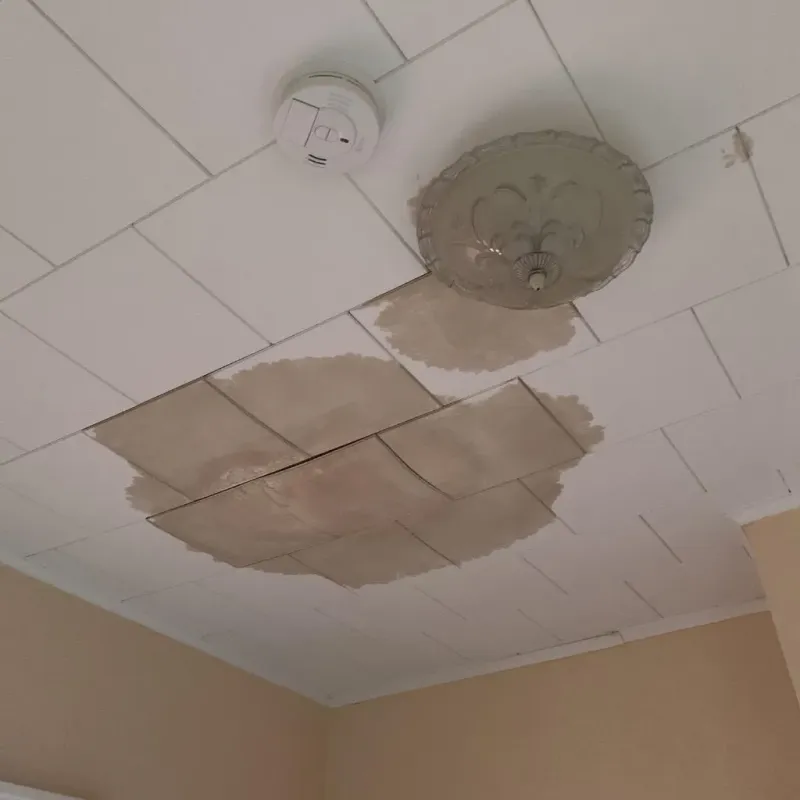 Ceiling Water Damage Repair in Crown Heights, NY