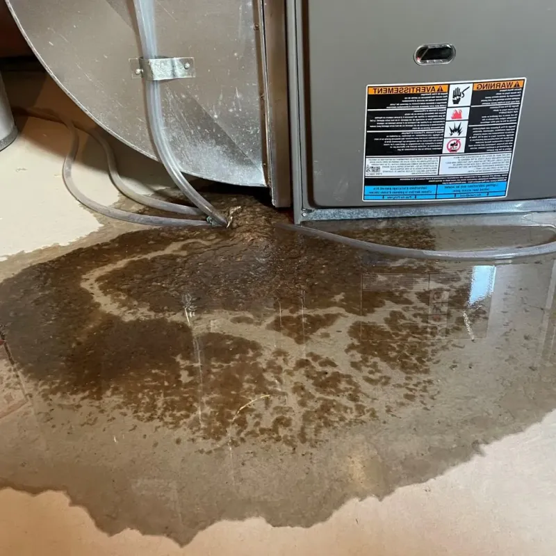 Pipe Burst and Leak Restoration in Crown Heights, NY
