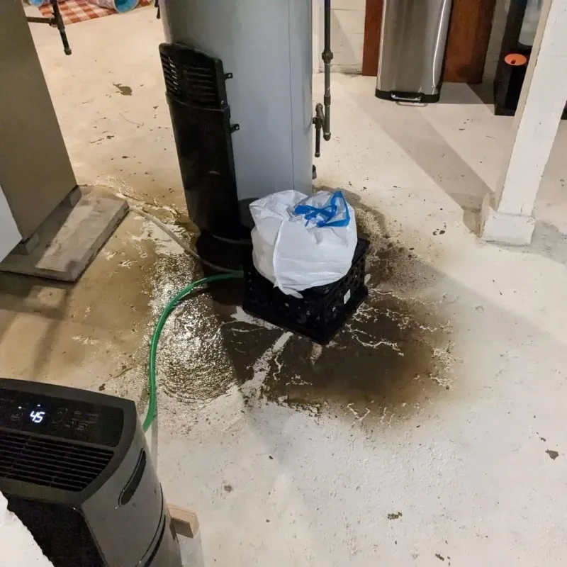 Sewage Backup Cleanup Service in Crown Heights, NY
